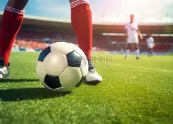 池子加盟新,企备受关注,却遭前同事,天博体育平台,天博体育官方网站,天博体育登录入口,天博体育app下载