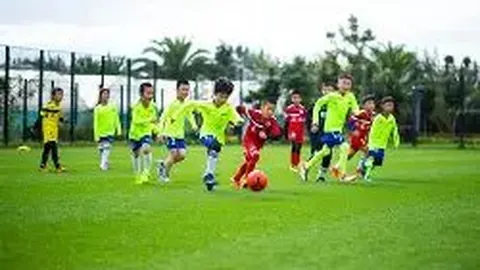 天博体育 产品 113552 ydi