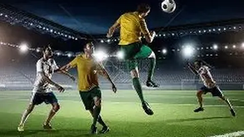 天博体育 资讯 114008 bk6