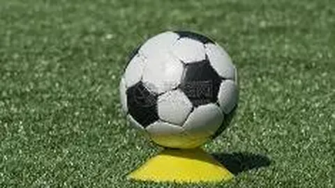 天博体育 资讯 113631 bgt